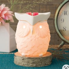 Scentsy Whoot Warmer discontinued