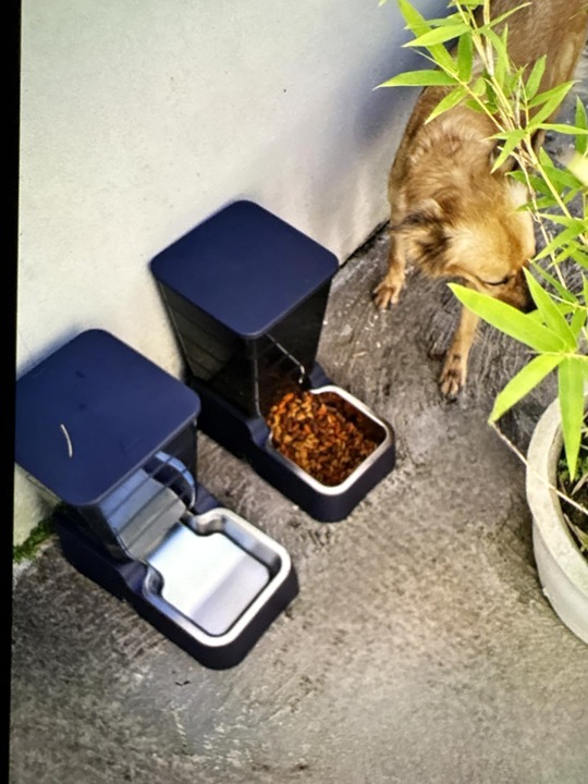 Pets Auto Feeder 5.2L,Food Feeder and Water Dispenser Set for Medium