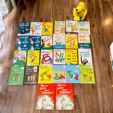 23 Dr. Seuss Beginner Bright and Early Books! And Stuff Animal