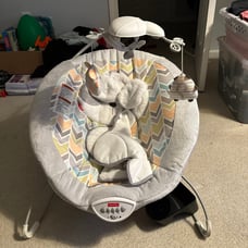Baby Bouncer