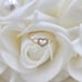 Cute Solid 14K Gold Heart Ring