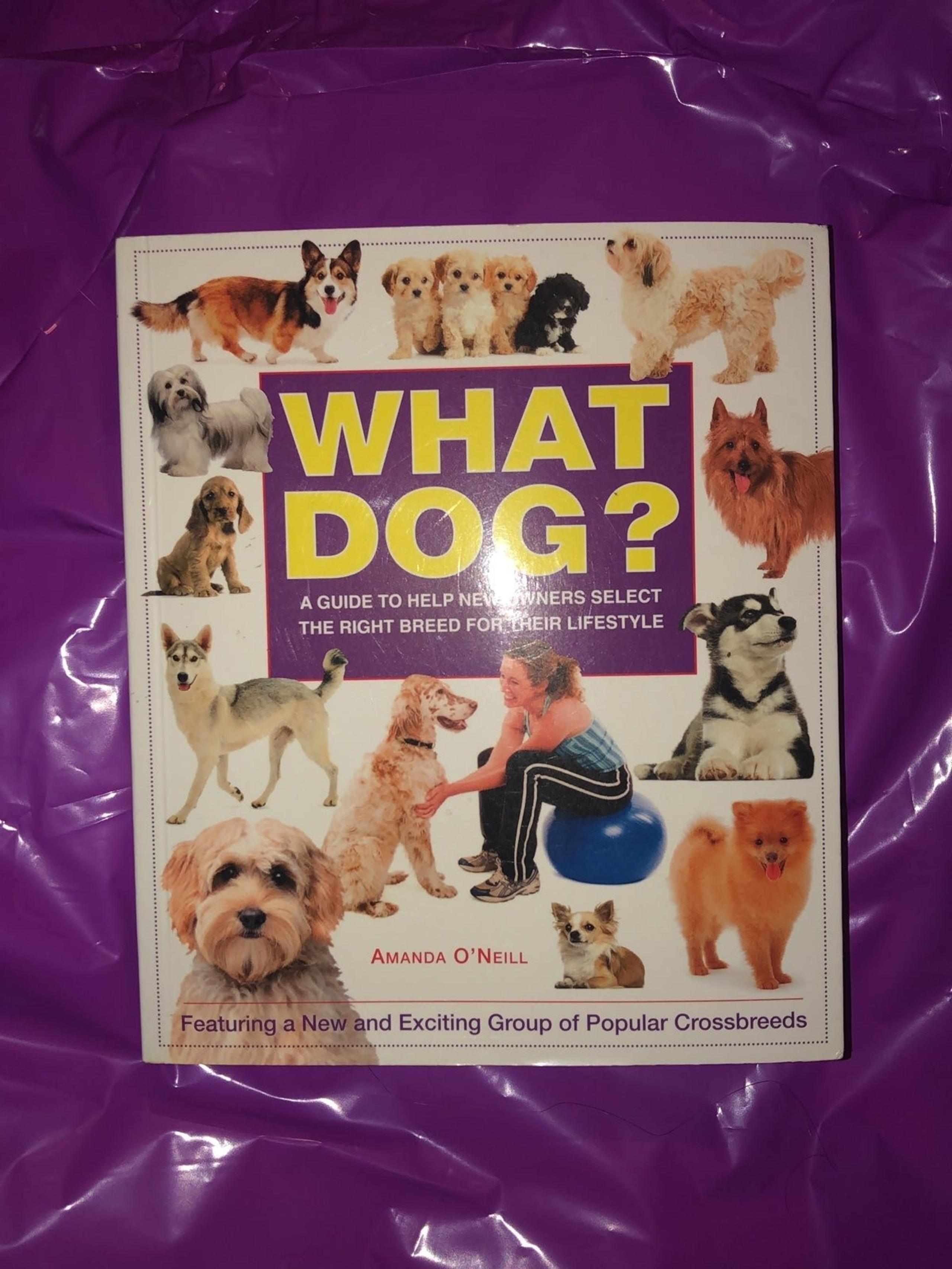 What Dog (Book)