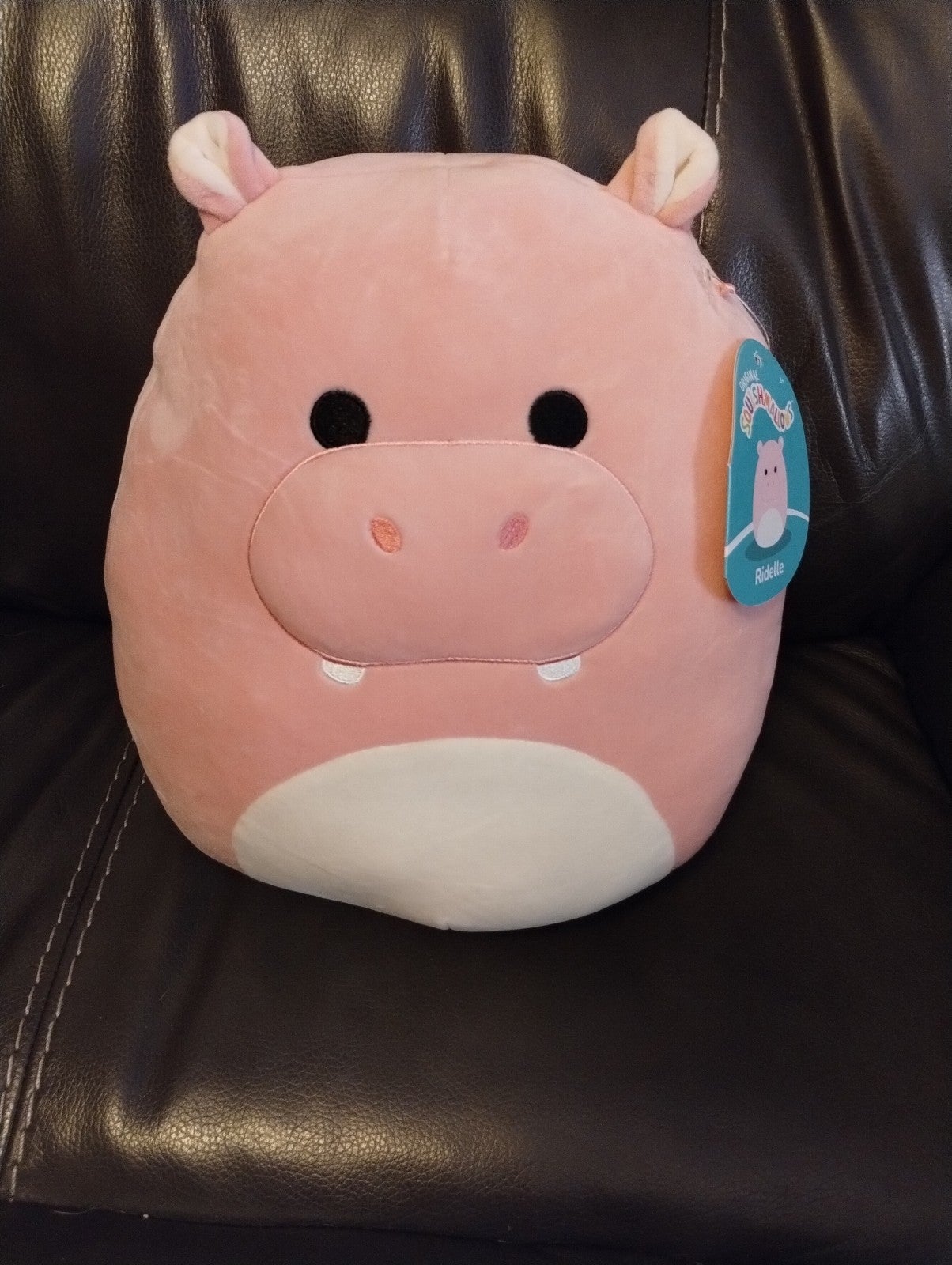 12 Squishmallow Ridelle (NWT)