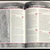 A Light in the Belfry, Ravenloft, Dungeons and Dragons