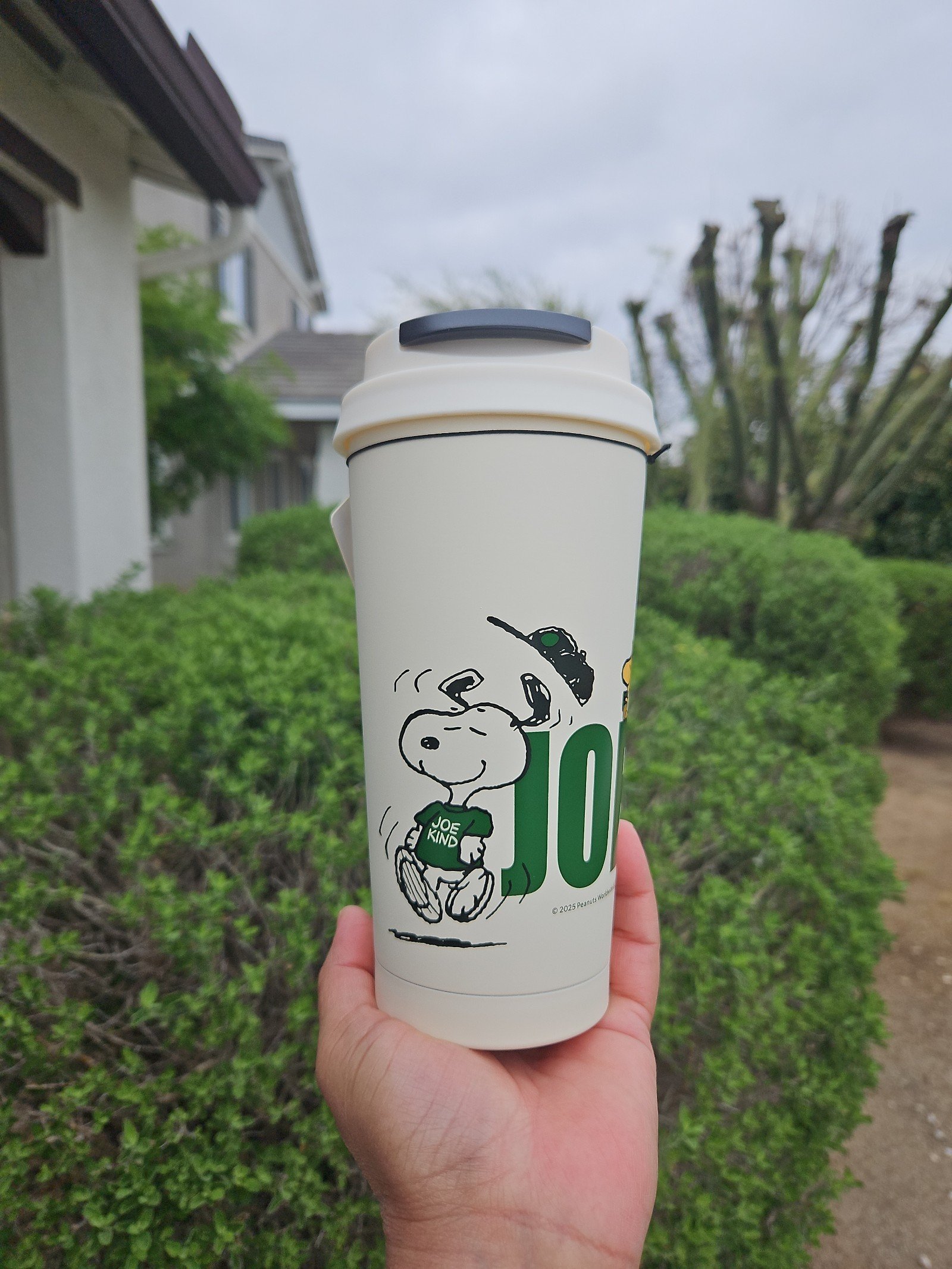 OVERSEAS Starbucks+PEANUTS COLLECTION Collaboration SS Elma cup 16oz