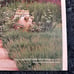 Martha Stewart Living Magazine Vintage July/August 1998 number 61