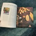 Martha Stewart Living Magazine Vintage July/August 1998 number 61