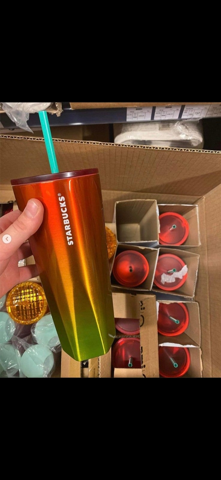 Starbucks Stainless Steel Fiesta Tumbler