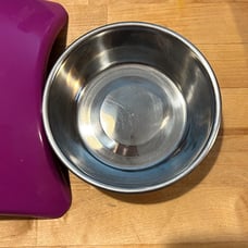 Pretty Cat or dog bowl