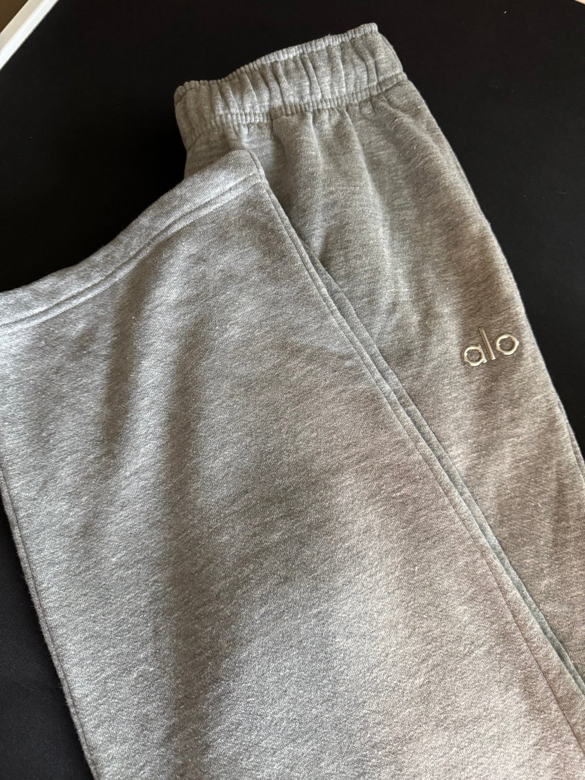 Alo accolade pants.