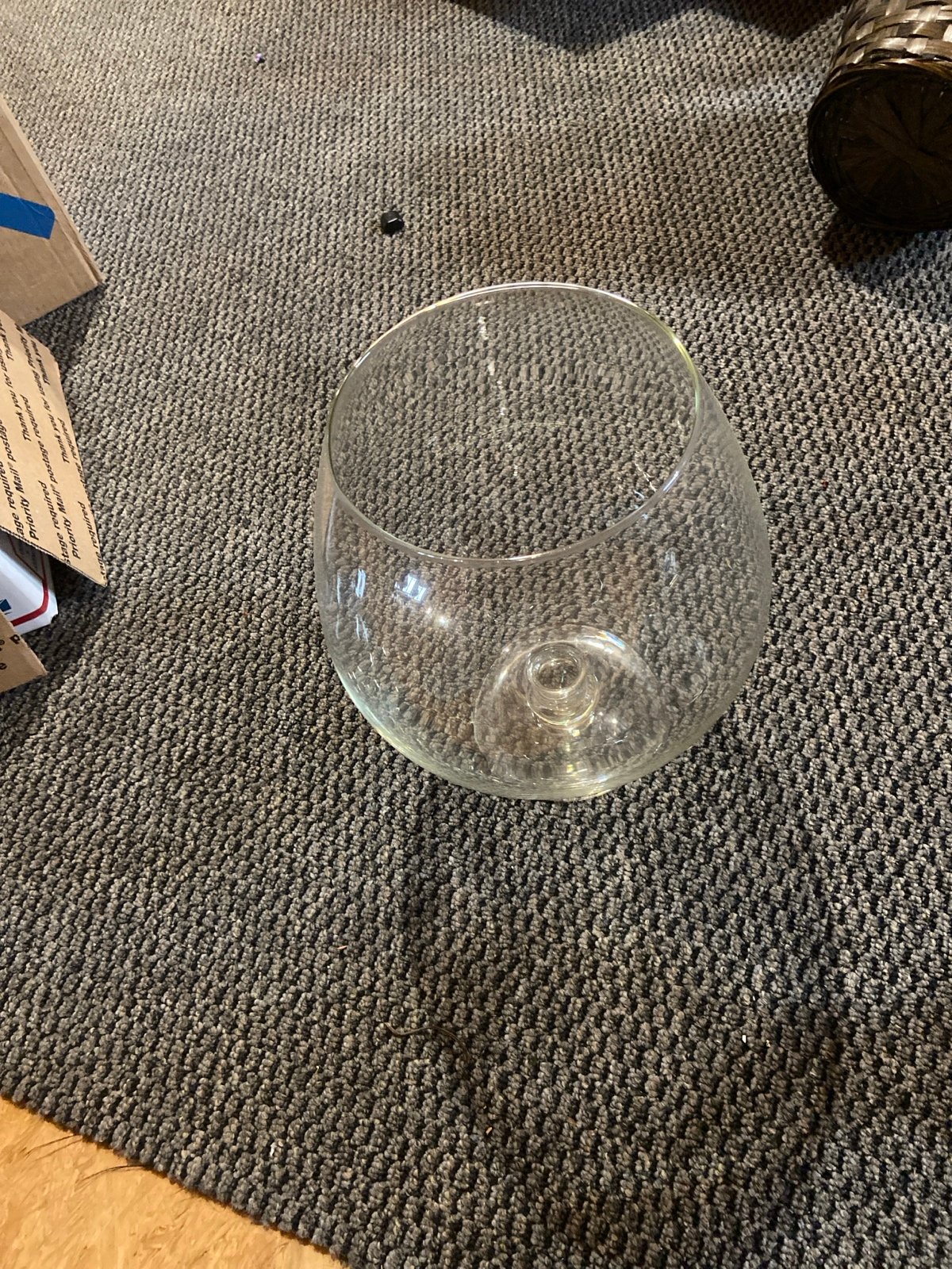 Glass Vase