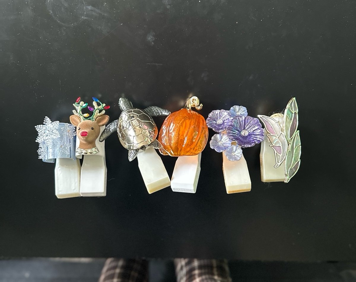 Bath & Body Works Wall Flower Plugs