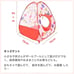 【3-Piece Set】 Ball Pit, Tunnel, Kids Tent, Foldable, with Storage Bag