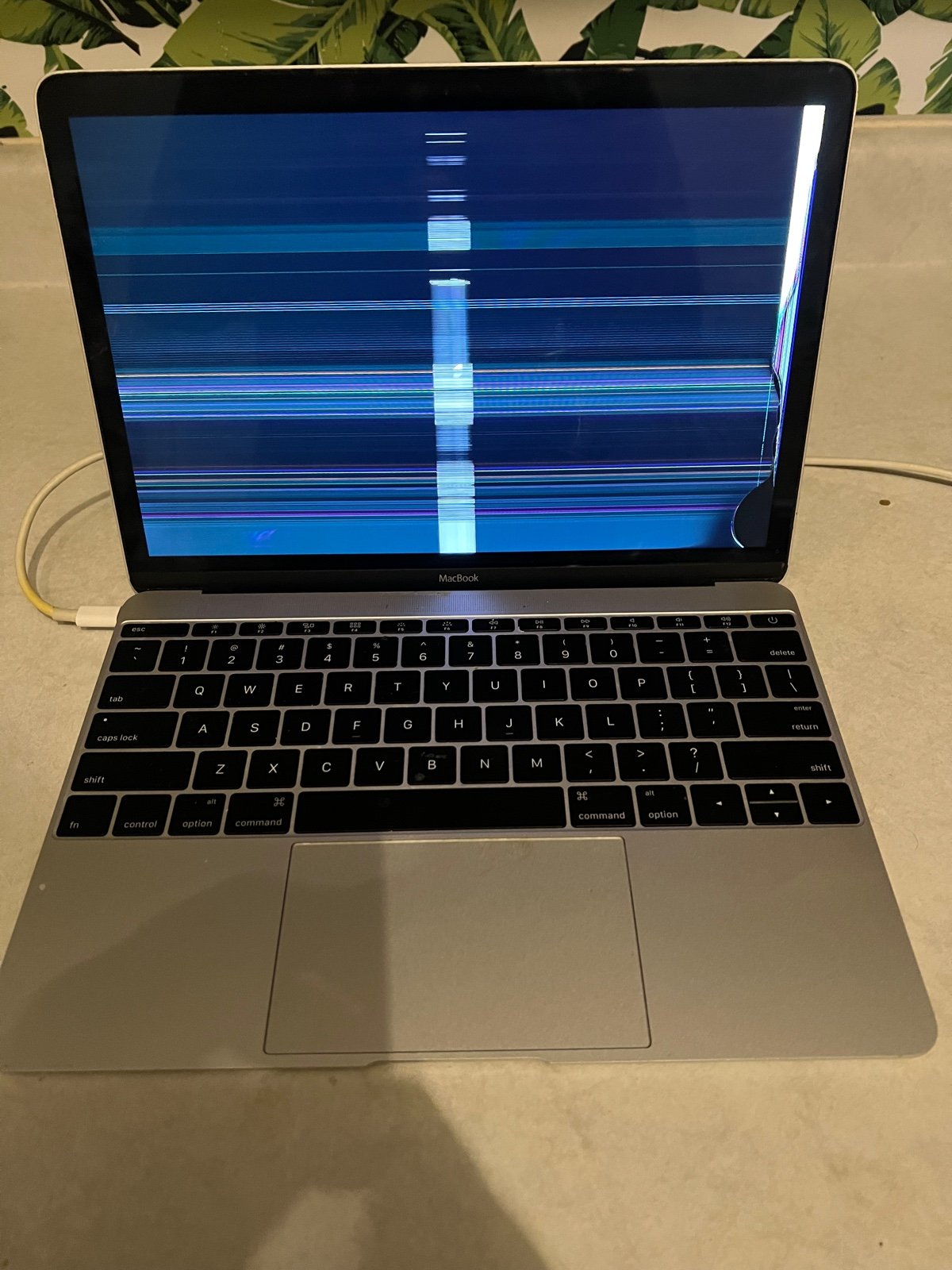 MacBook 12 (2017) - QWERTY - English (US) Retina - Core m3 - 1.2 GHz - SSD 256