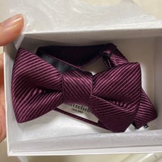 Amtetliebe Burgundy Striped Bow Tie