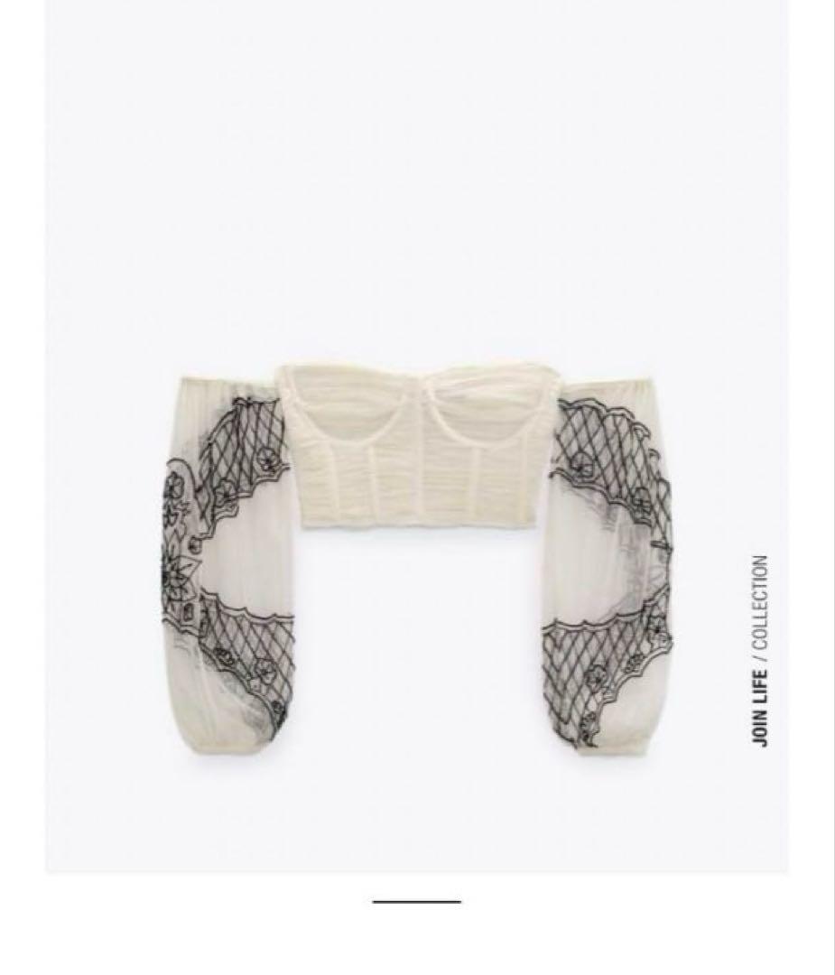 Embroidered Corset, ZARA