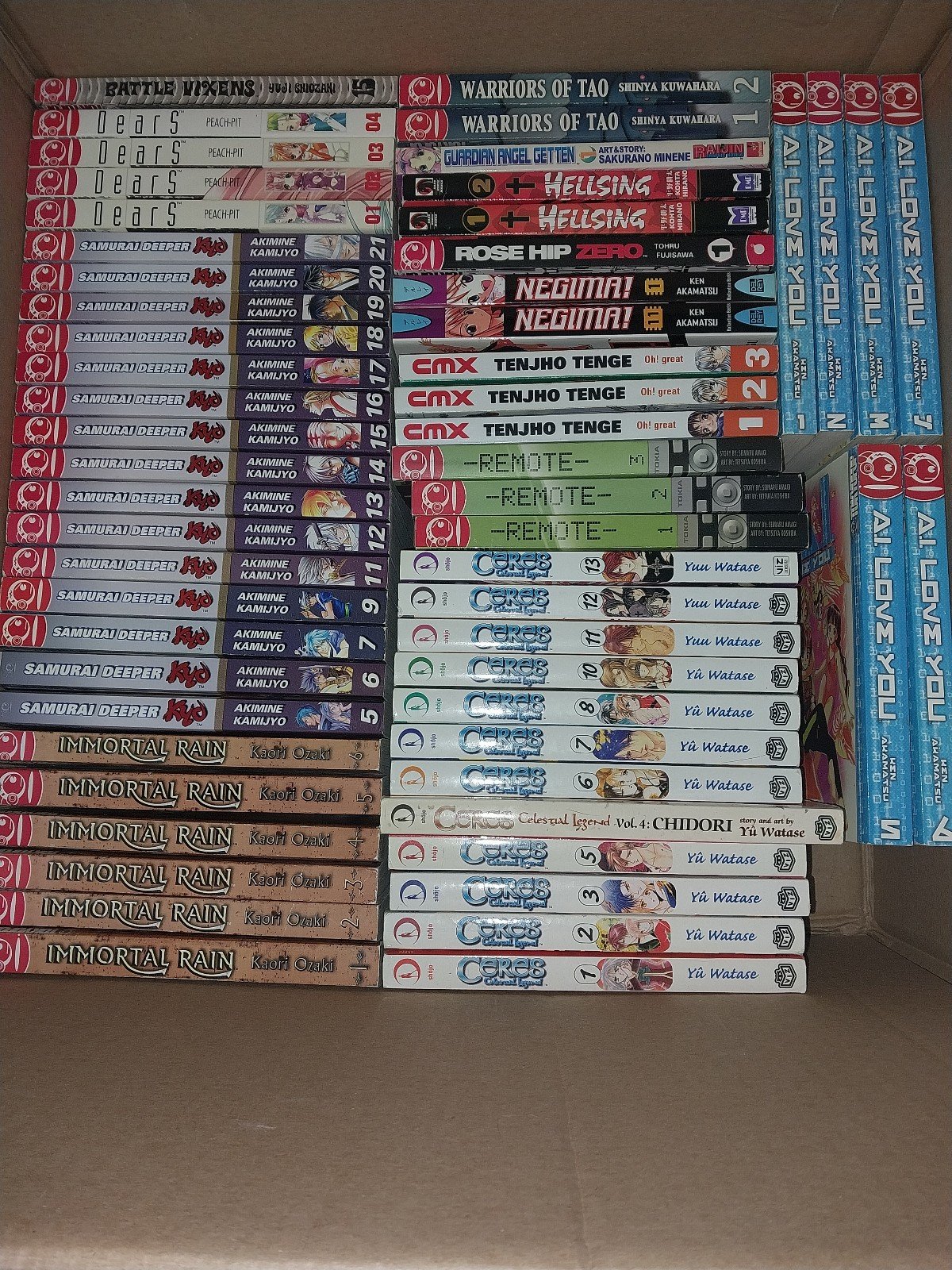 Manga lot