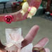 Letters & Crystals! My Melody Letter P