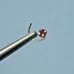 2.02mm 14k YELLOW GOLD RED DIAMOND NOSE SCREW, w/CERTIFICATE OF AUTHENTICITY