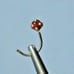 2.02mm 14k YELLOW GOLD RED DIAMOND NOSE SCREW, w/CERTIFICATE OF AUTHENTICITY