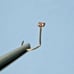 2.02mm 14k YELLOW GOLD RED DIAMOND NOSE SCREW, w/CERTIFICATE OF AUTHENTICITY