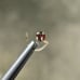 2.02mm 14k YELLOW GOLD RED DIAMOND NOSE SCREW, w/CERTIFICATE OF AUTHENTICITY