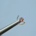 2.02mm 14k YELLOW GOLD RED DIAMOND NOSE SCREW, w/CERTIFICATE OF AUTHENTICITY