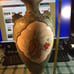 Antique Japanese porcelain vases