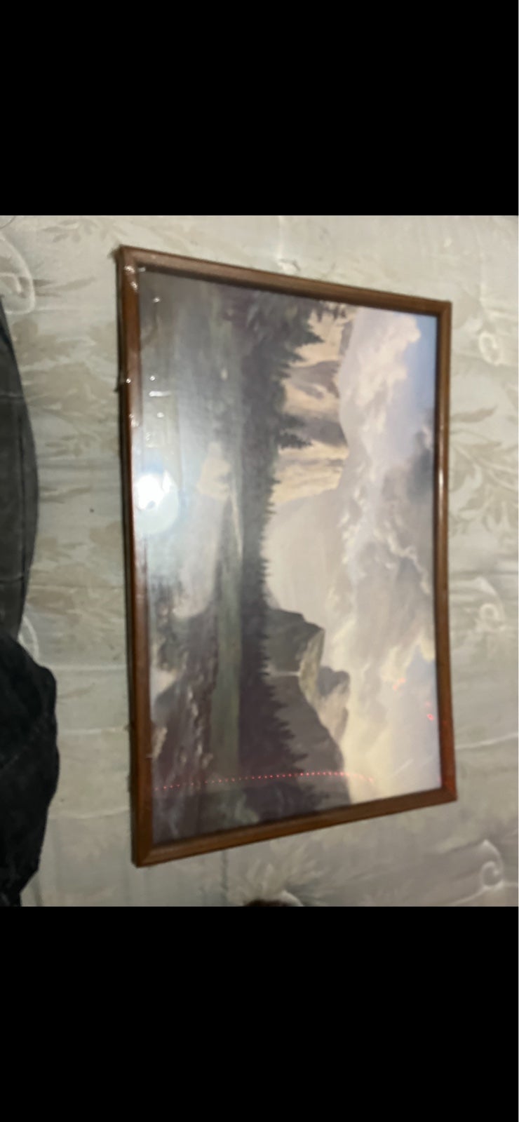 vintage picture framed