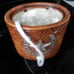 wax warmer