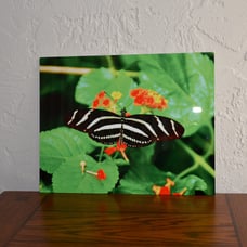 Photo on metal