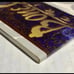 Werewolf: The Apocalypse, Bone Gnawers Tribebook 2, World of Darkness