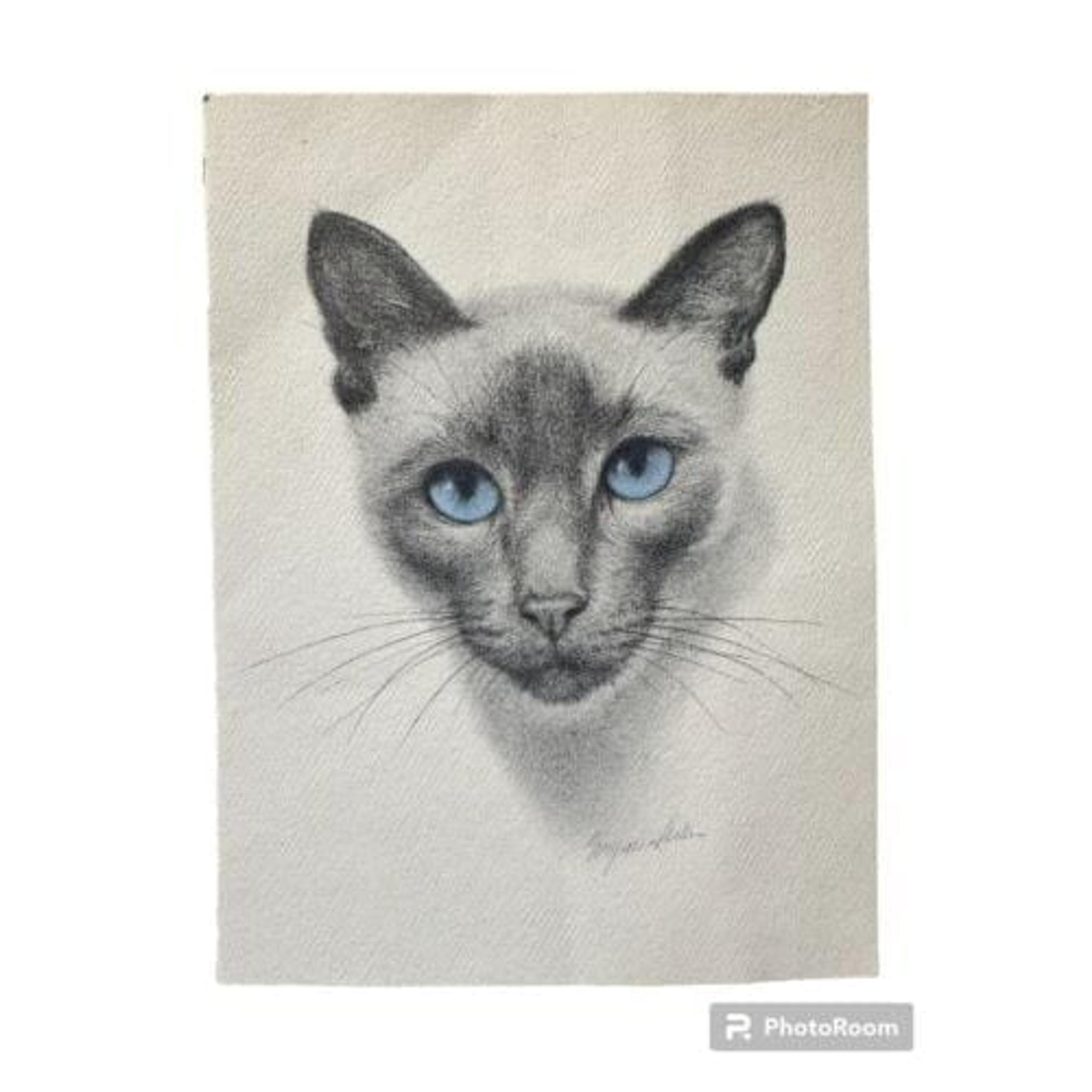 1970s Virginia Miller Original Charcoal Print Drawing Blue Eyed Siamese Cat 5x7"