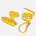 Wild One Harness and Leash set
