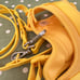 Wild One Harness and Leash set