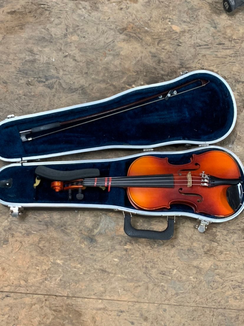 Violin