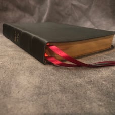 Nkjv New King James Reina Valera RVR Bilingual Bible 2018 Spanish English