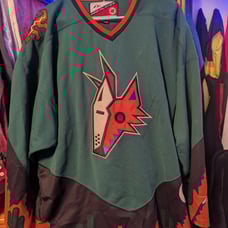 vintage hockey jersey