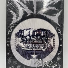 Stray Kids Skzoo ATE CHK CHK Ver. Album Photo Book Photo Card Full Set K-POP New