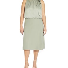 adrianna papell dress