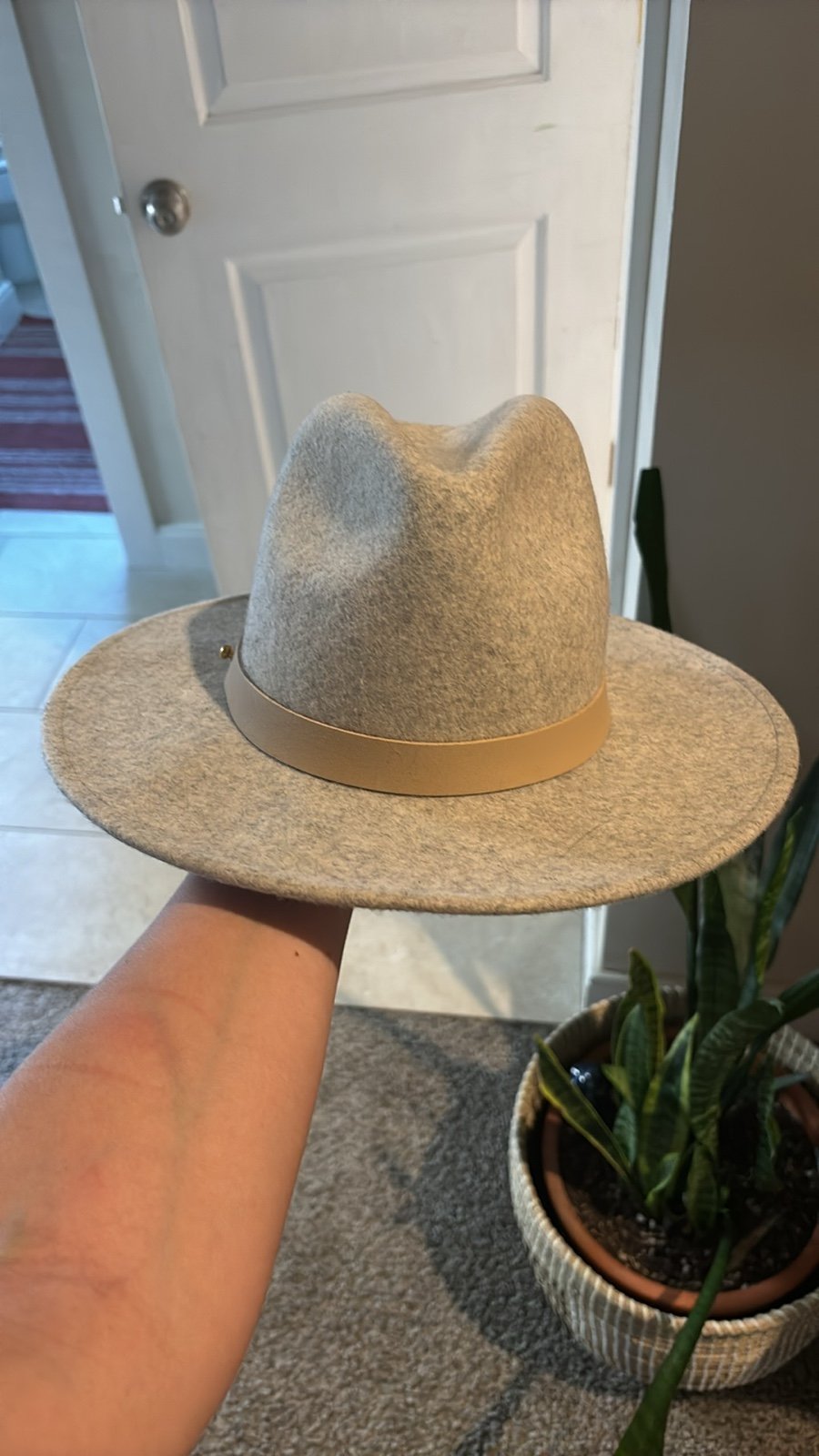 Lack of color felt hat