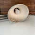 working vintage industrial extendable lamp made in norway