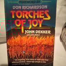 Torches of joy used book