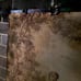Antique vintage Victorian French Tapestry with hunger