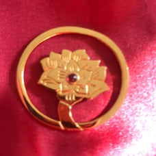 Judith Lieber Clip.