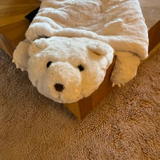 Kids pottery barn home goods sleeping bag NWT
