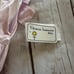 Florence eiseman bunny dress nwt 2t