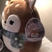 Squishmallows Luna and Dawn
