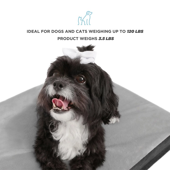 Anti-Slip Dog Mattress da4