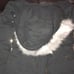 womens winter coat